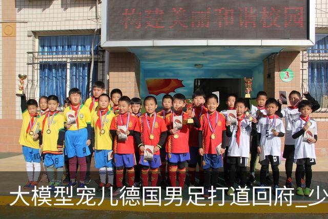 大模型宠儿德国男足打道回府 少了人性观察数据等于废纸