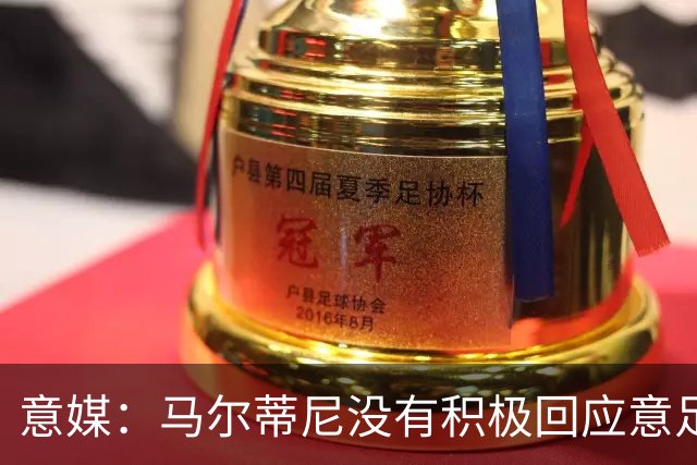意媒：马尔蒂尼没有积极回应意足协，孔蒂年薪要求比曼奇尼更高